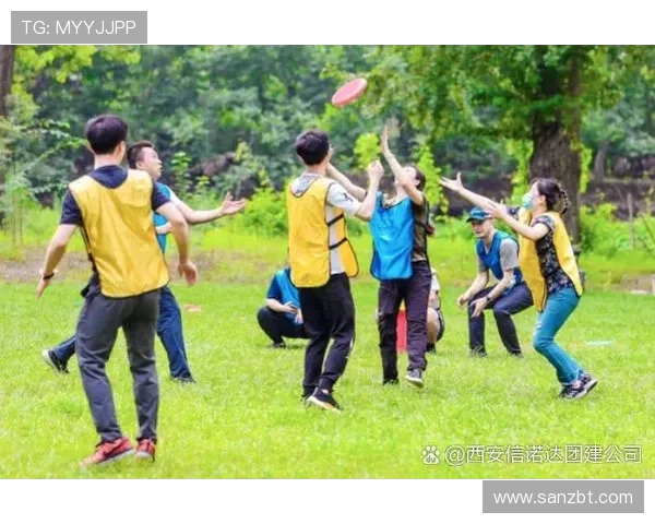 武汉乒乓球队的团队协作之道:凝聚力与默契的完美结合