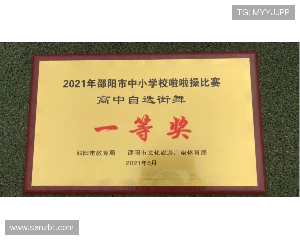 南京街舞队反击赛场的得失分析与未来展望